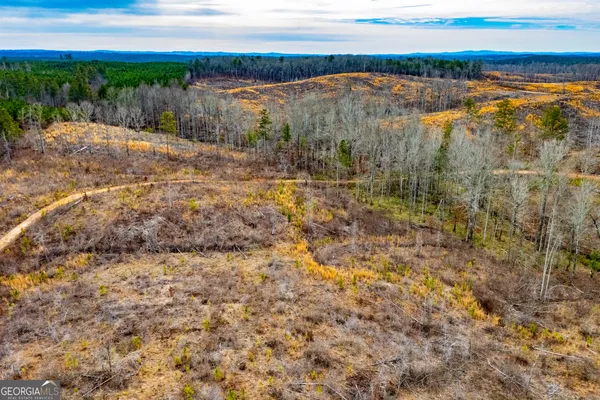 $205,000 | 1365 County Road 290, Muscadine, AL 36269