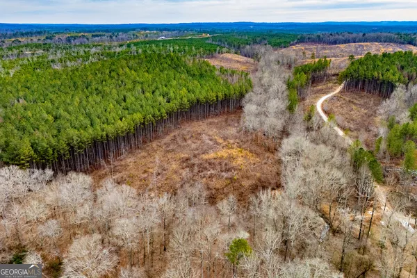 $205,000 | 1365 County Road 290, Muscadine, AL 36269