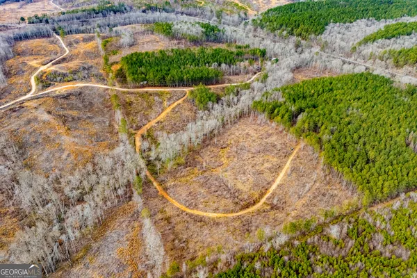 $205,000 | 1365 County Road 290, Muscadine, AL 36269