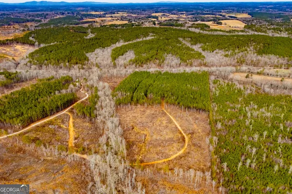 $205,000 | 1365 County Road 290, Muscadine, AL 36269