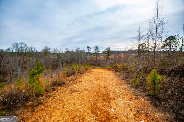 $205,000 | 1365 County Road 290, Muscadine, AL 36269