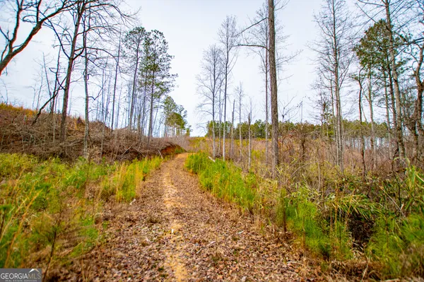 $205,000 | 1365 County Road 290, Muscadine, AL 36269