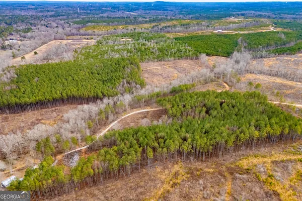 $205,000 | 1365 County Road 290, Muscadine, AL 36269
