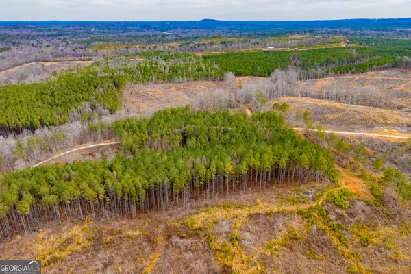 $205,000 | 1365 County Road 290, Muscadine, AL 36269