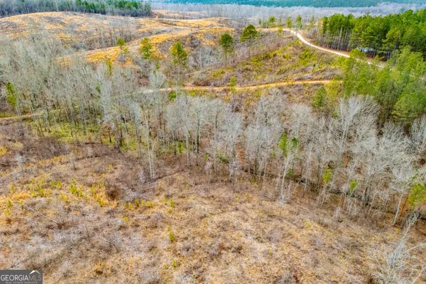 $205,000 | 1365 County Road 290, Muscadine, AL 36269