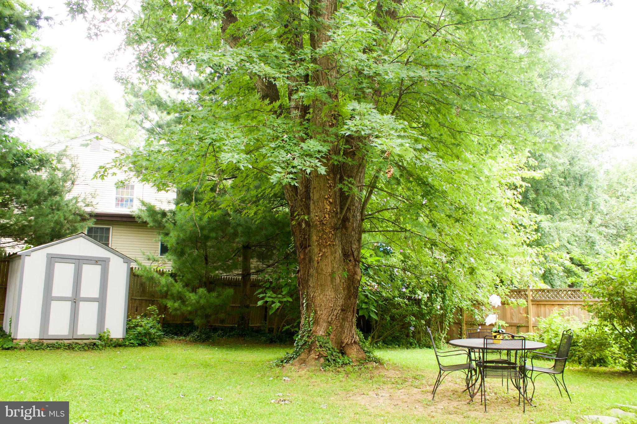 9950 Moss Avenue Silver Spring, MD 20901 - Photo 30 of 30 Exterior (Rear)