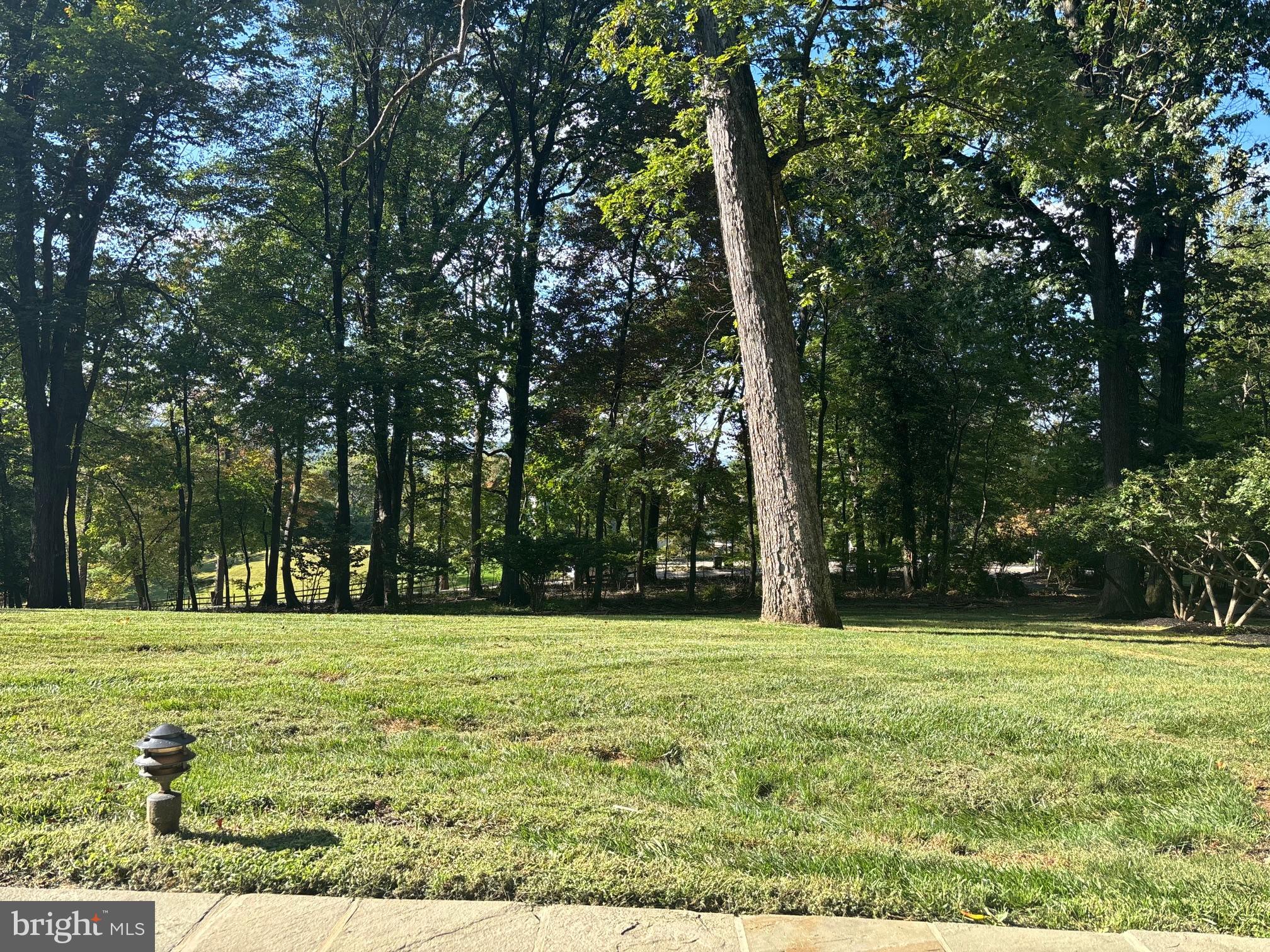 434 Pugh Road Wayne, PA 19087 - Photo 4 of 47 a view of a park with large trees