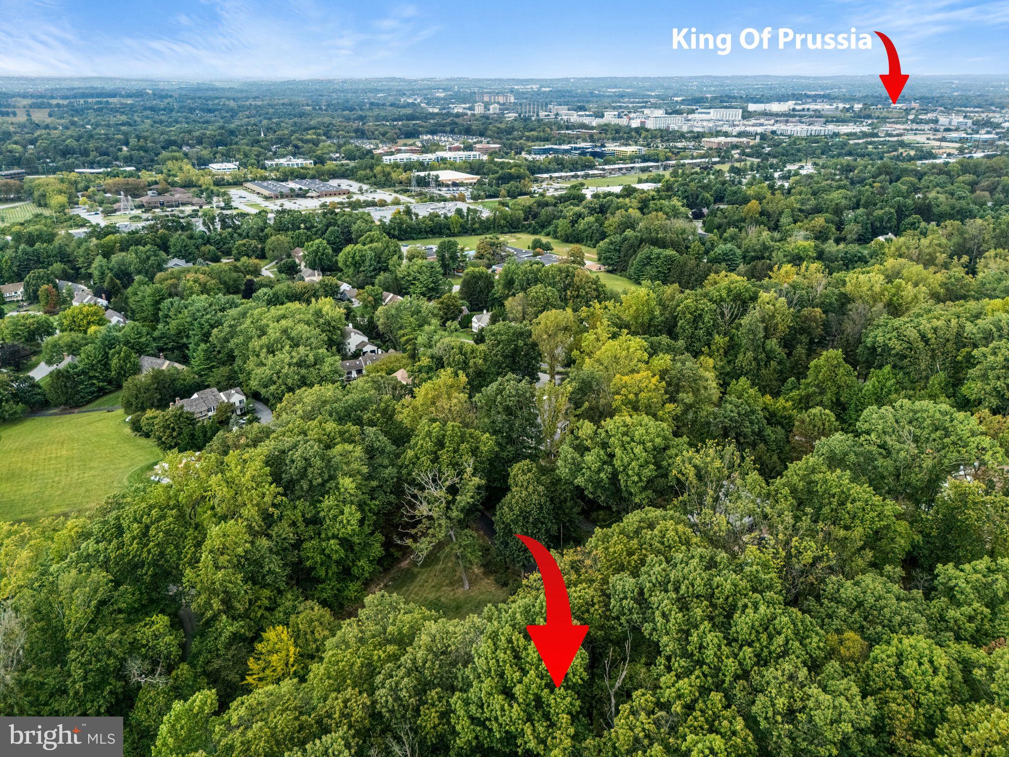 434 Pugh Road Wayne, PA 19087 - Photo 46 of 47 an aerial view of a houses with a lush green forest