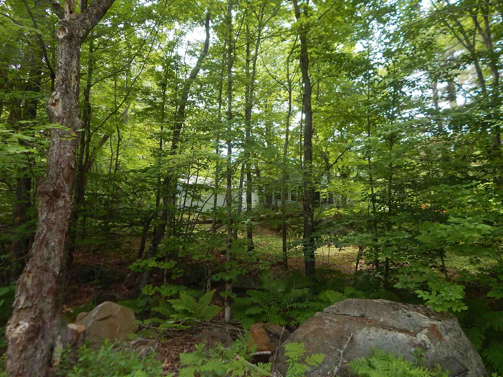 28 Old Forest Road Stoddard, NH 03464 - Photo 10 of 11 Gallery Image 10