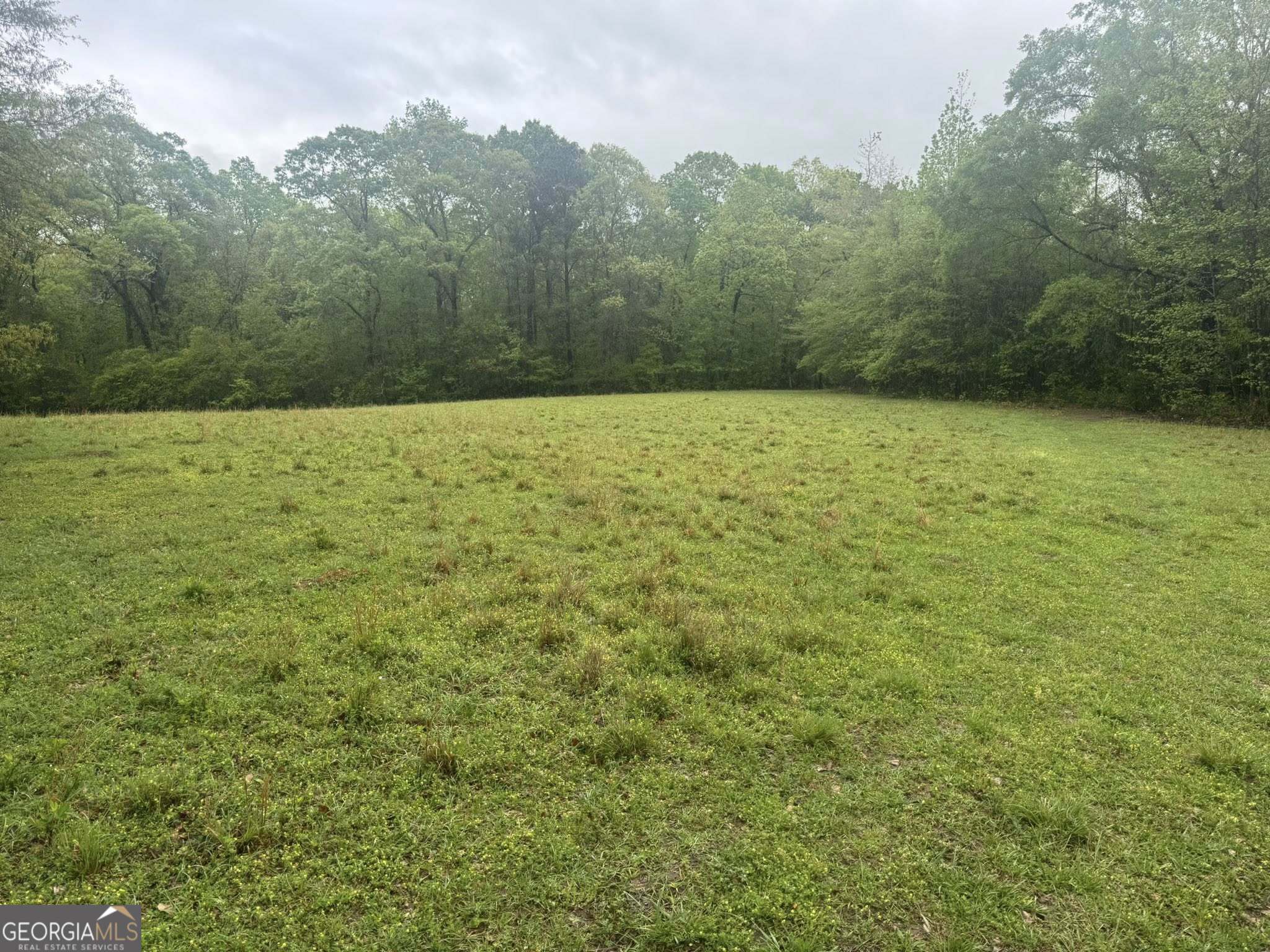 48.04-acres Caldwell Road Zebulon, GA 30295 - Photo 4 of 23 a view of a yard with a house