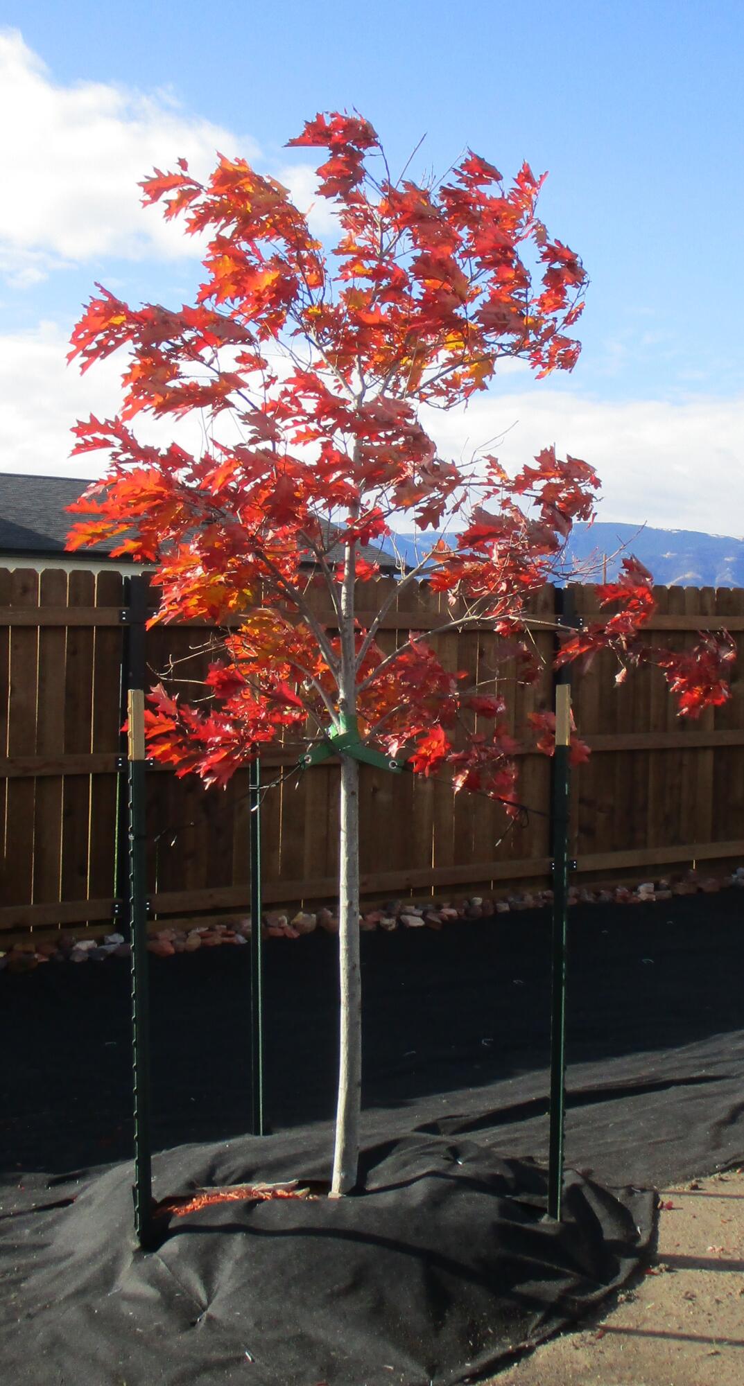 1458 Stone Rdg Dr. Ranchester, WY 82839 - Photo 42 of 52 40