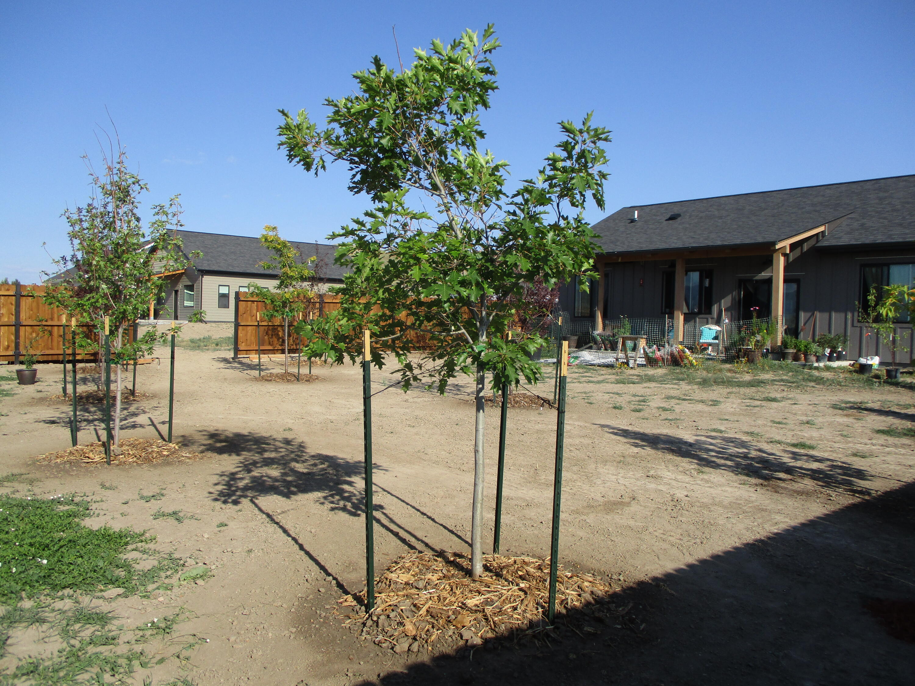 1458 Stone Rdg Dr. Ranchester, WY 82839 - Photo 43 of 52 41