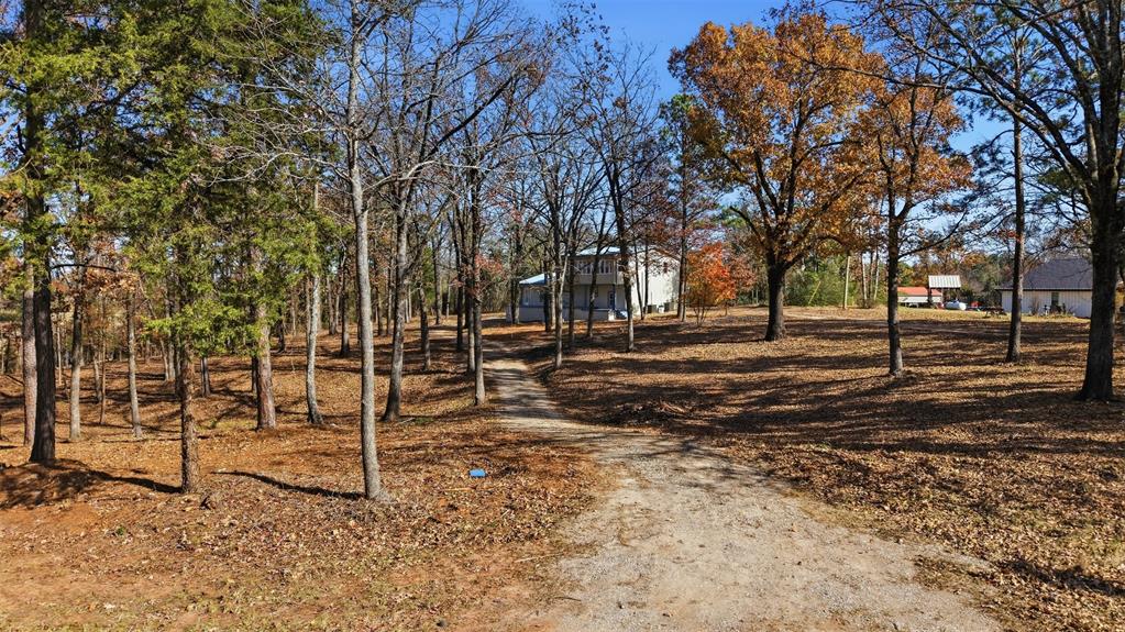 3148 Medlin Road East Mountain, TX 75645 - Photo 7 of 36 a view of a park with trees