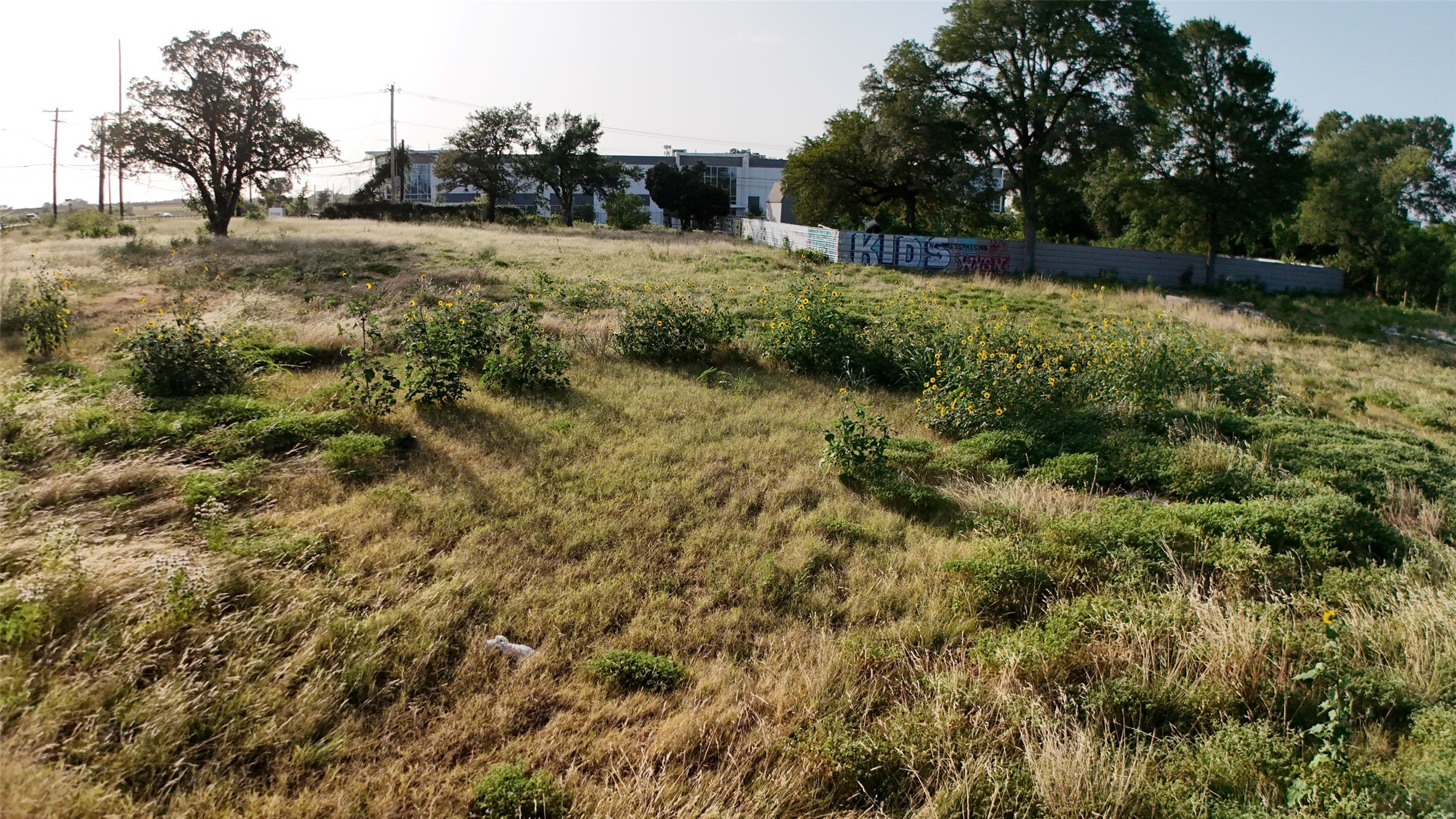 0 Bastrop Highway Austin, TX 78742 - Photo 3 of 6 A spacious, elevated lot offers a tranquil setting with ample green space and established trees.