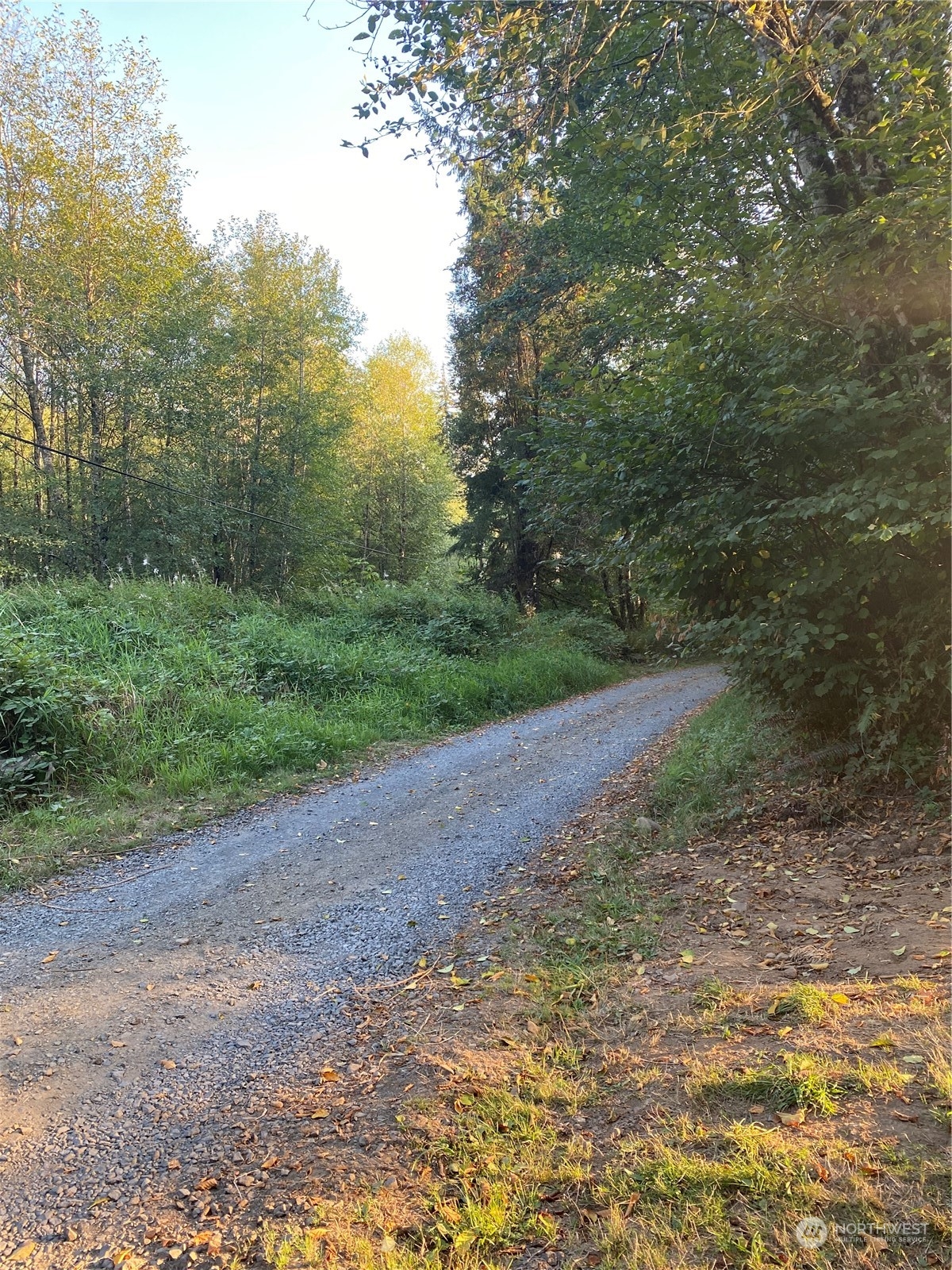 135 Redbud Road Longview, WA 98632 - Photo 3 of 22 a view of a dirt road with trees in the background