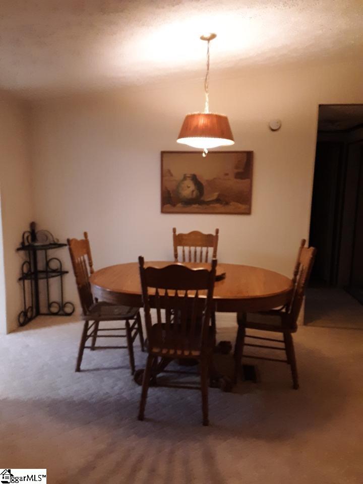 3858 West Georgia Road Pelzer, SC 29669 - Photo 13 of 17
