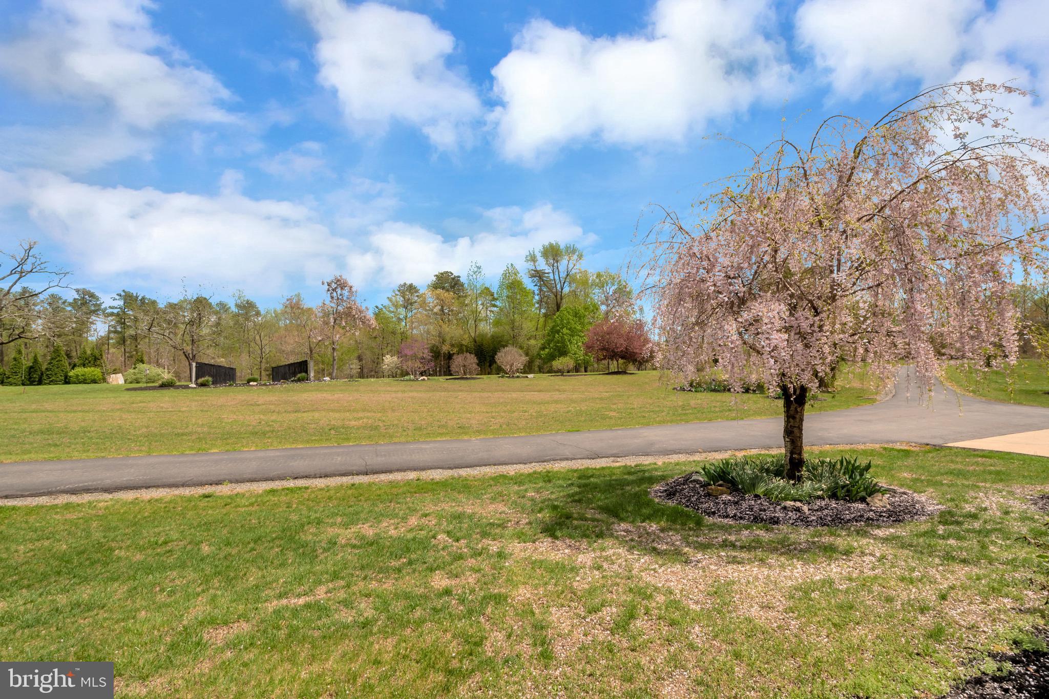 3358 White Hall Road King George, VA 22485 - Photo 12 of 56 Great views from all angles.