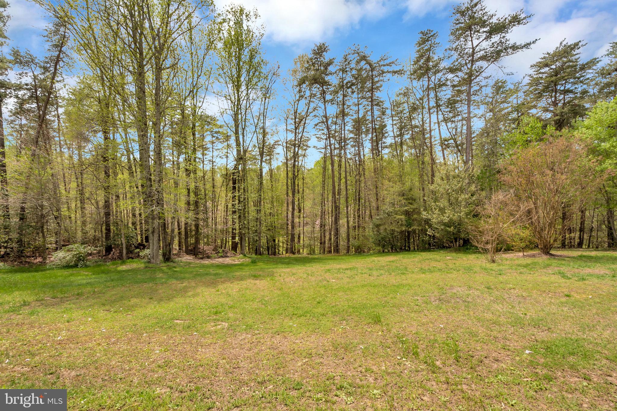 3358 White Hall Road King George, VA 22485 - Photo 16 of 56 ...or view the many trees and wildlife.
