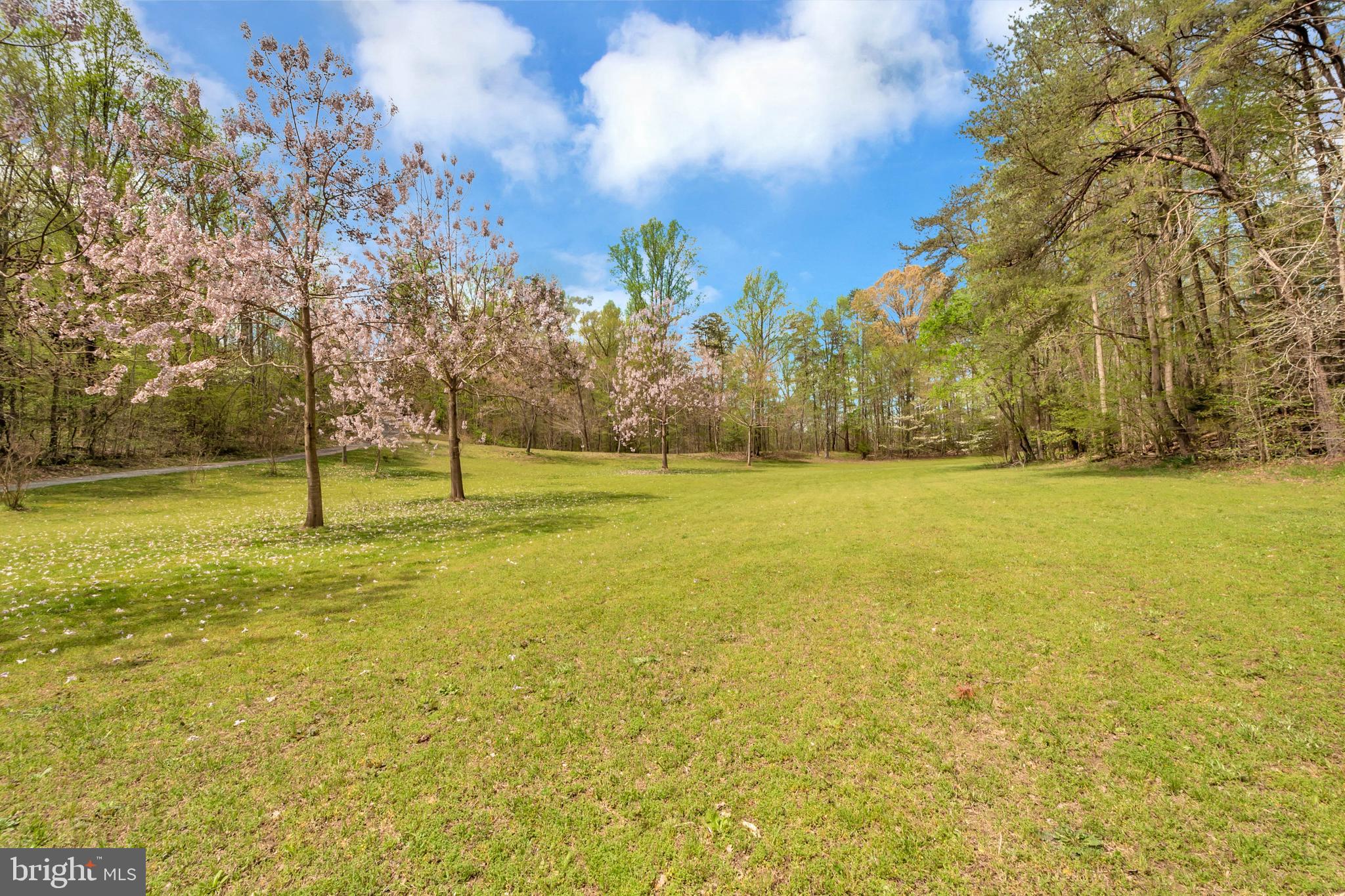 3358 White Hall Road King George, VA 22485 - Photo 17 of 56 A view of the lower pasturelands.
