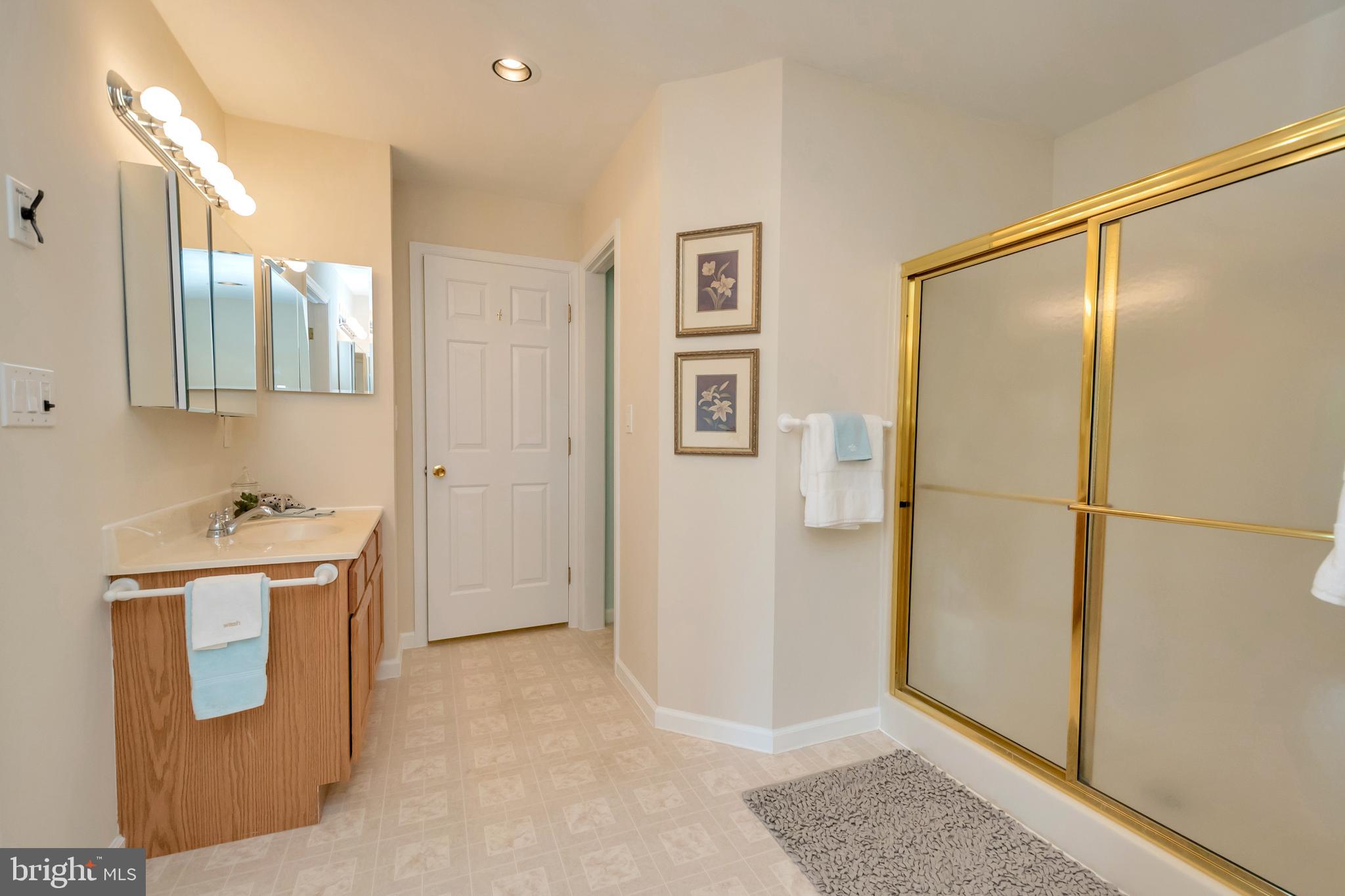 3358 White Hall Road King George, VA 22485 - Photo 40 of 56 ....walk ing shower and medicine/linen closet.