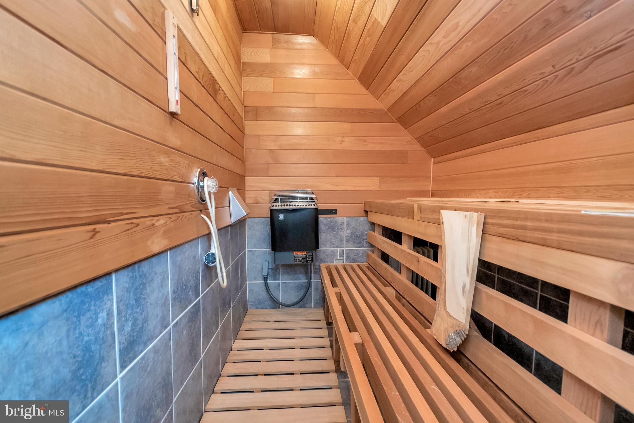 3358 White Hall Road King George, VA 22485 - Photo 50 of 56 Wet/dry cedar suana/spa.