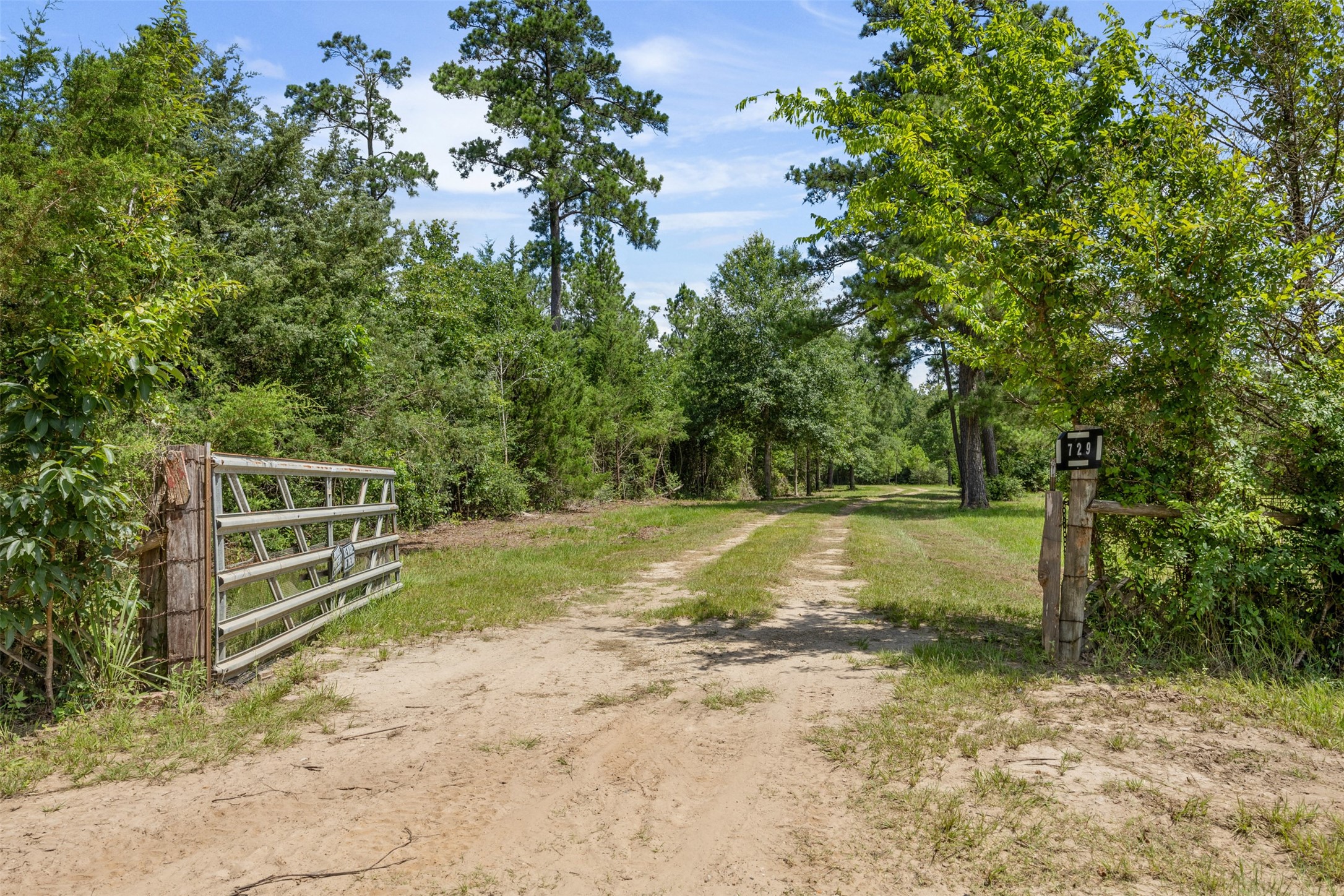 729 Centerhill Cemetery Road Crockett, TX 75835 - Photo 3 of 43 a view of outdoor space and yard