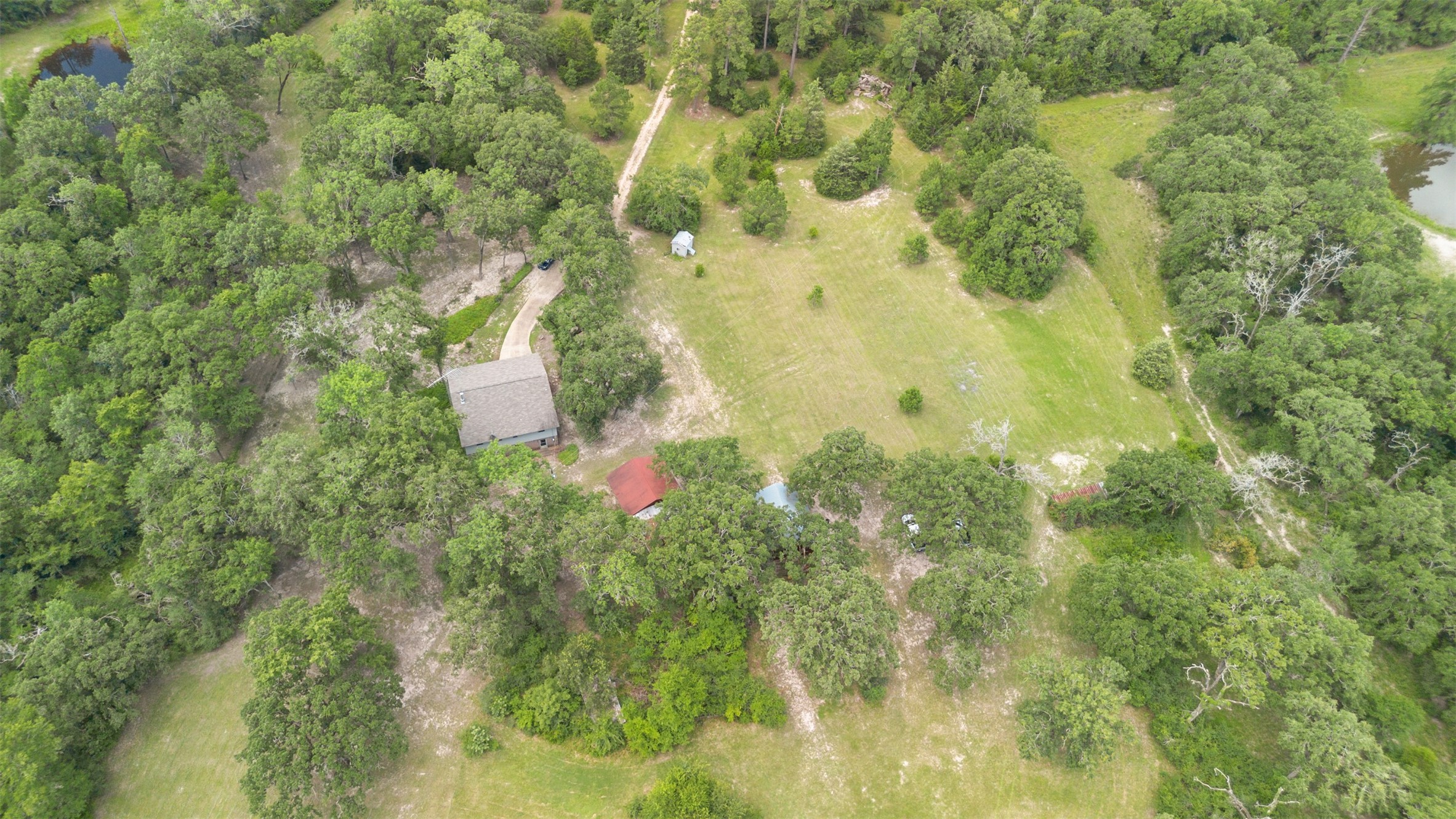729 Centerhill Cemetery Road Crockett, TX 75835 - Photo 40 of 43 a close up of a tree