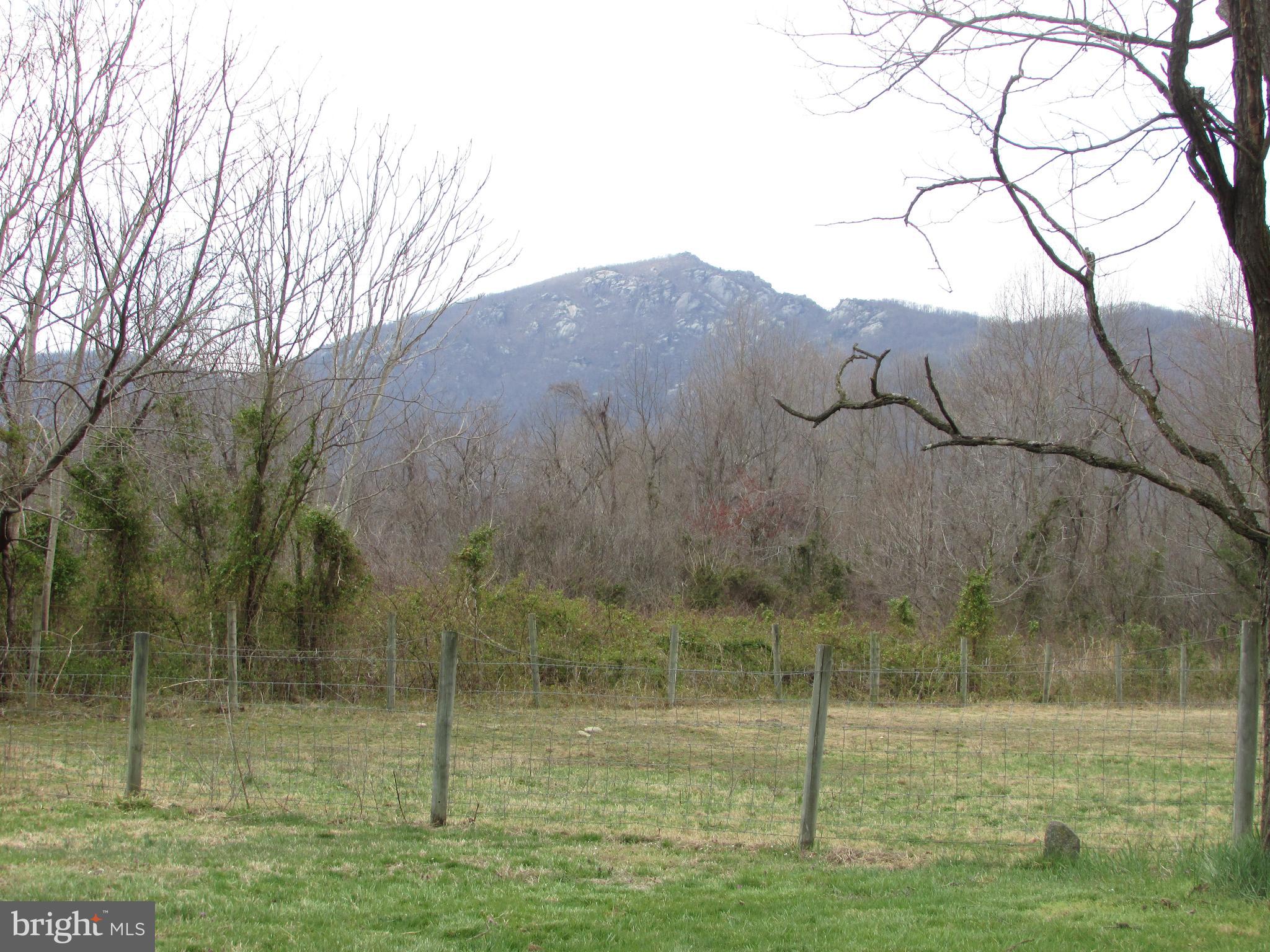 85 Nethers Road Sperryville, VA 22740 - Photo 31 of 33 Gallery Image 31