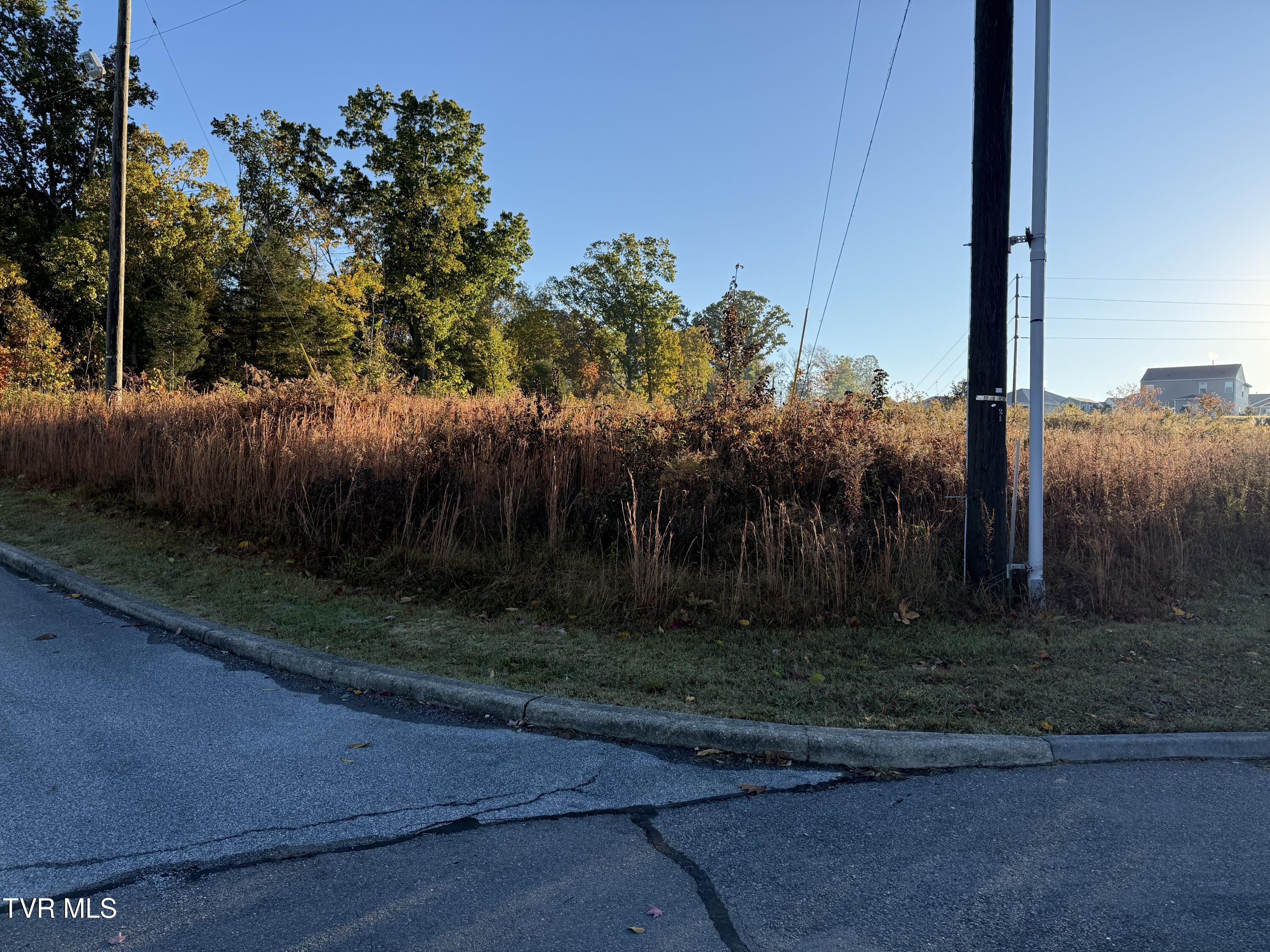 Tbd Eastern Star Road, Unit 11C Kingsport, TN 37663 - Photo 1 of 25 EASTERN STAR LOT