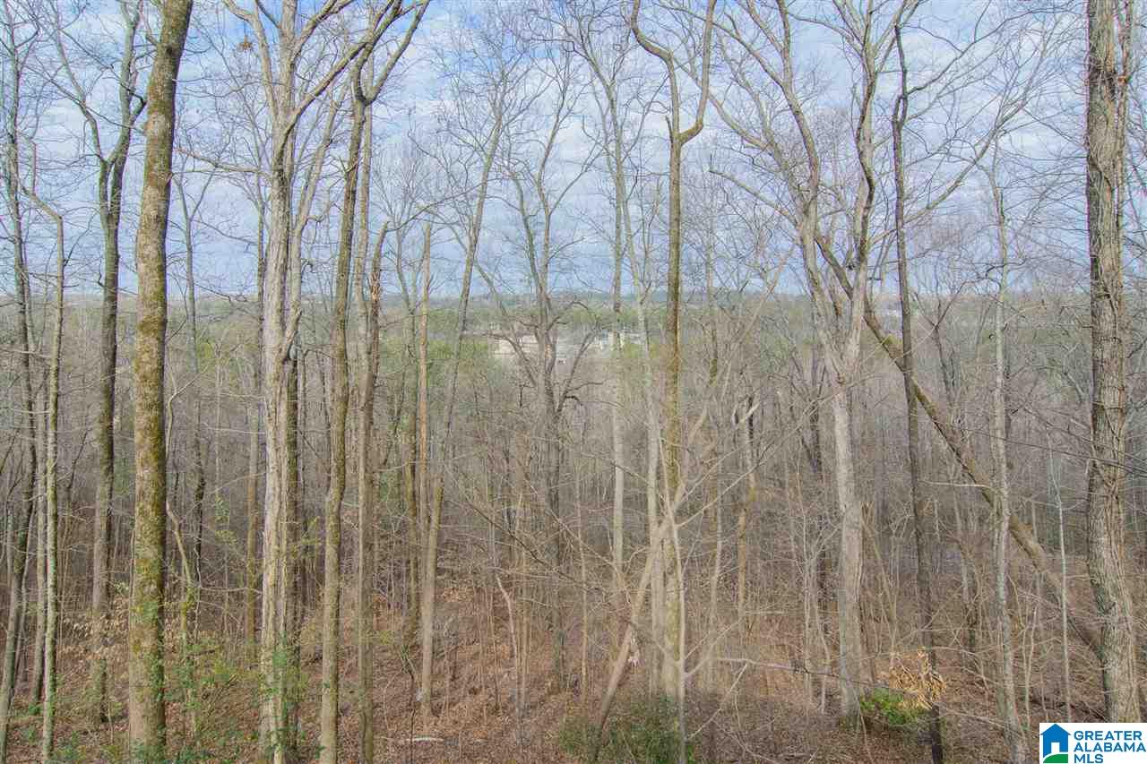 1135 Berwick Road Birmingham, AL 35242 - Photo 32 of 35