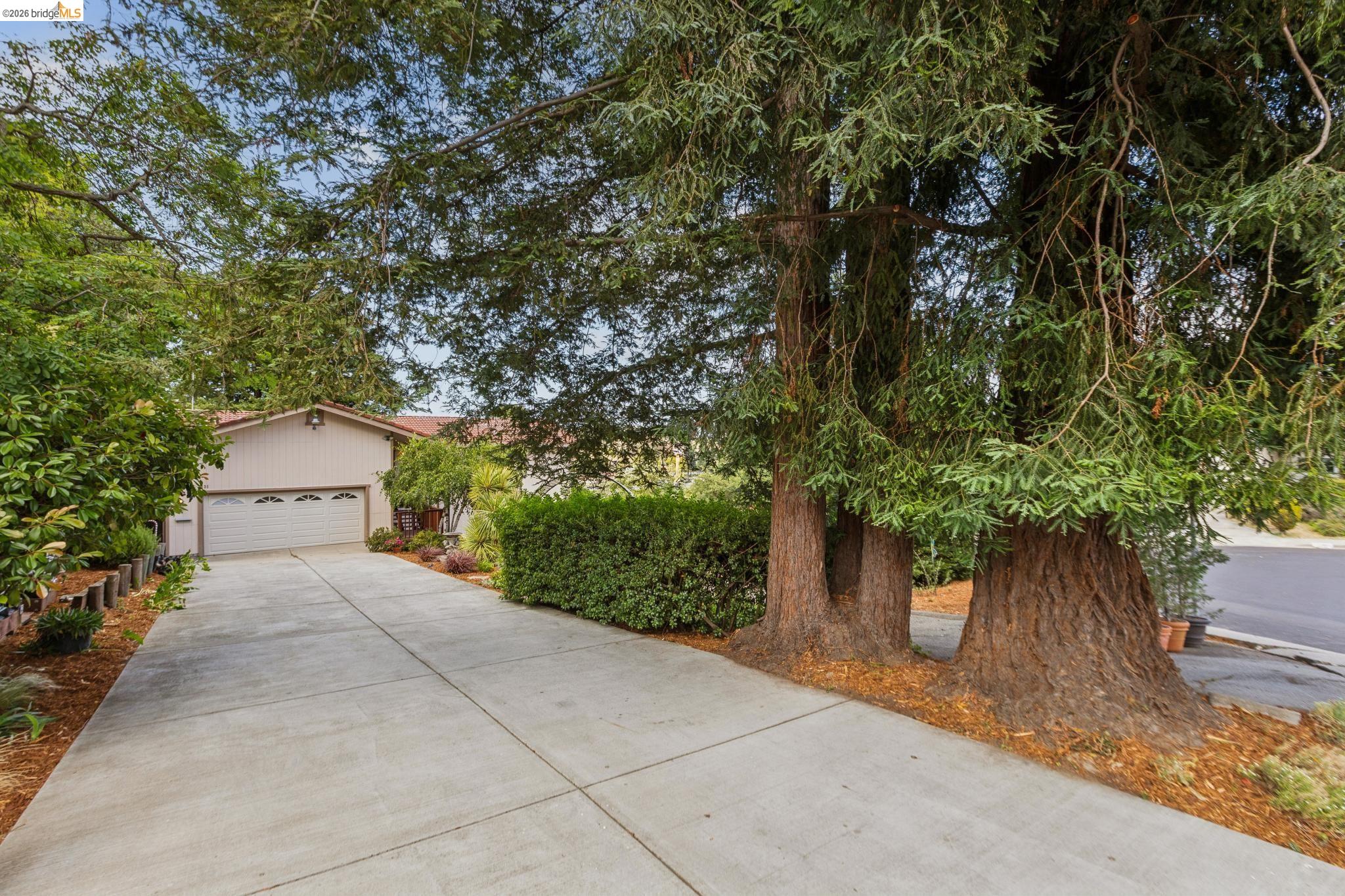 1131 Mitchell Way El Sobrante, CA 94803 - Photo 1 of 74