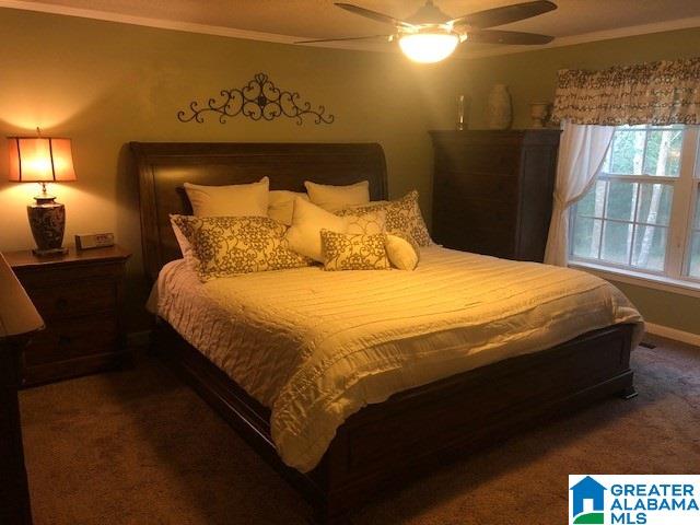 2799 Pineywoods Sipsey Road Jasper, AL 35504 - Photo 20 of 39