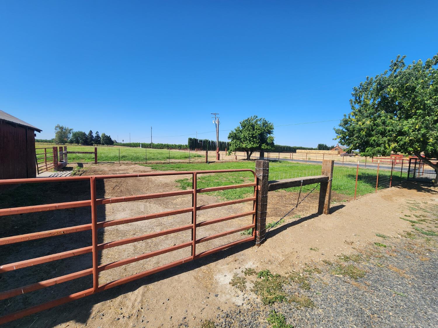 20383 Sutliff Road Escalon, CA 95320 - Photo 42 of 65 a view of a park with large trees