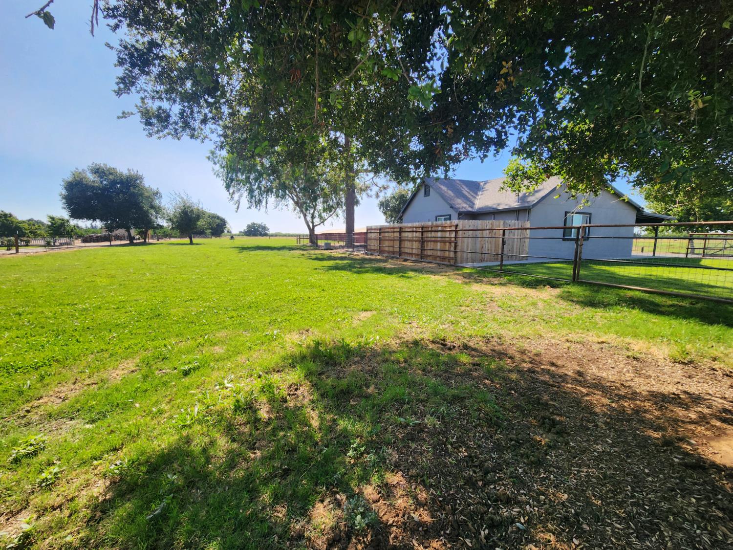 20383 Sutliff Road Escalon, CA 95320 - Photo 48 of 65 a view of a large garden with large trees and plants