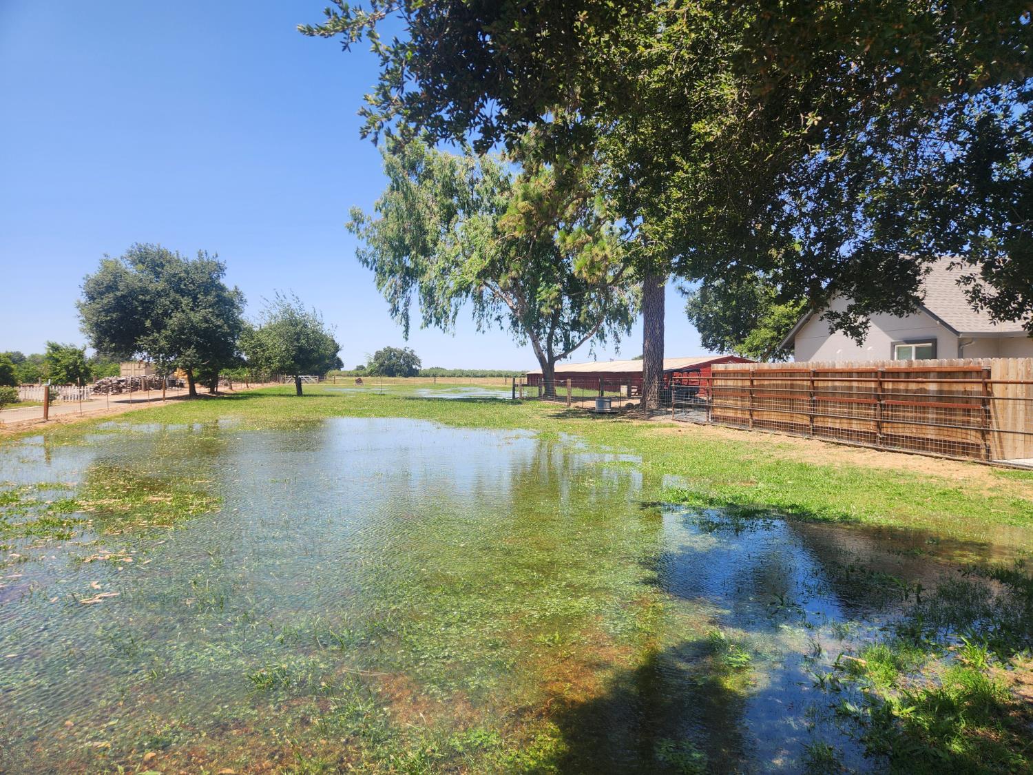 20383 Sutliff Road Escalon, CA 95320 - Photo 49 of 65 a view of a lake with trees by side of it