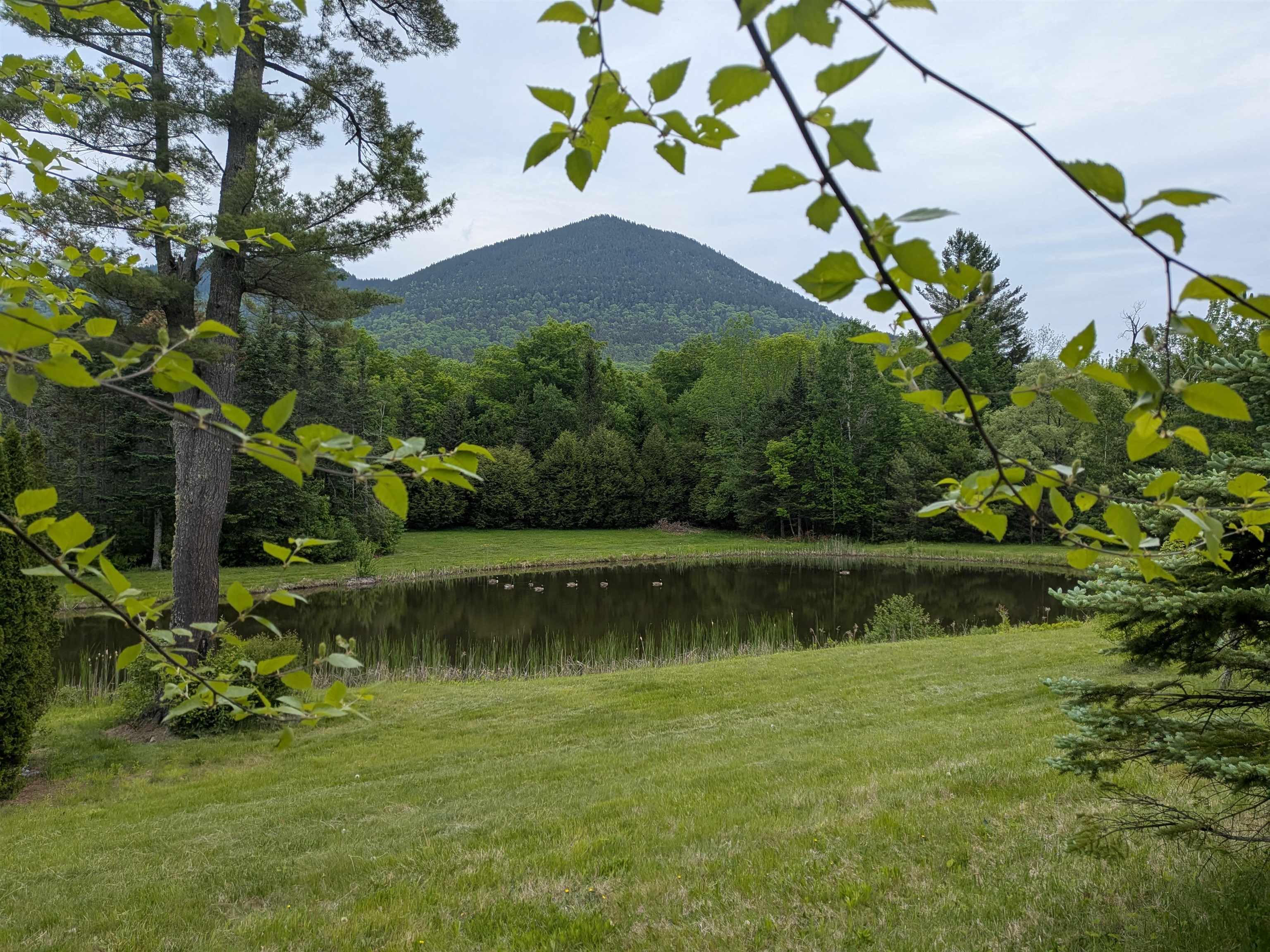 196 Dundee Road Jackson, NH 03846 - Photo 4 of 8