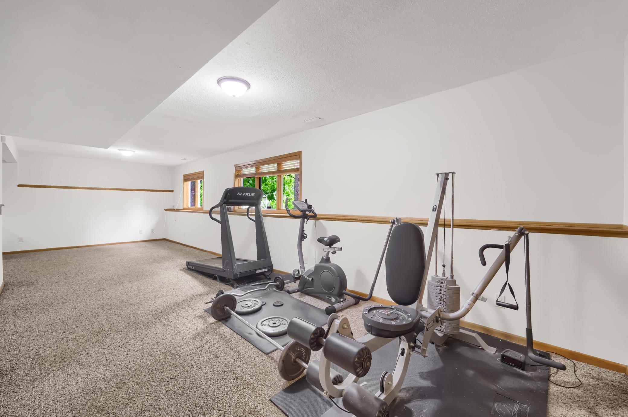 3759 Greensboro Drive Eagan, MN 55123 - Photo 43 of 49