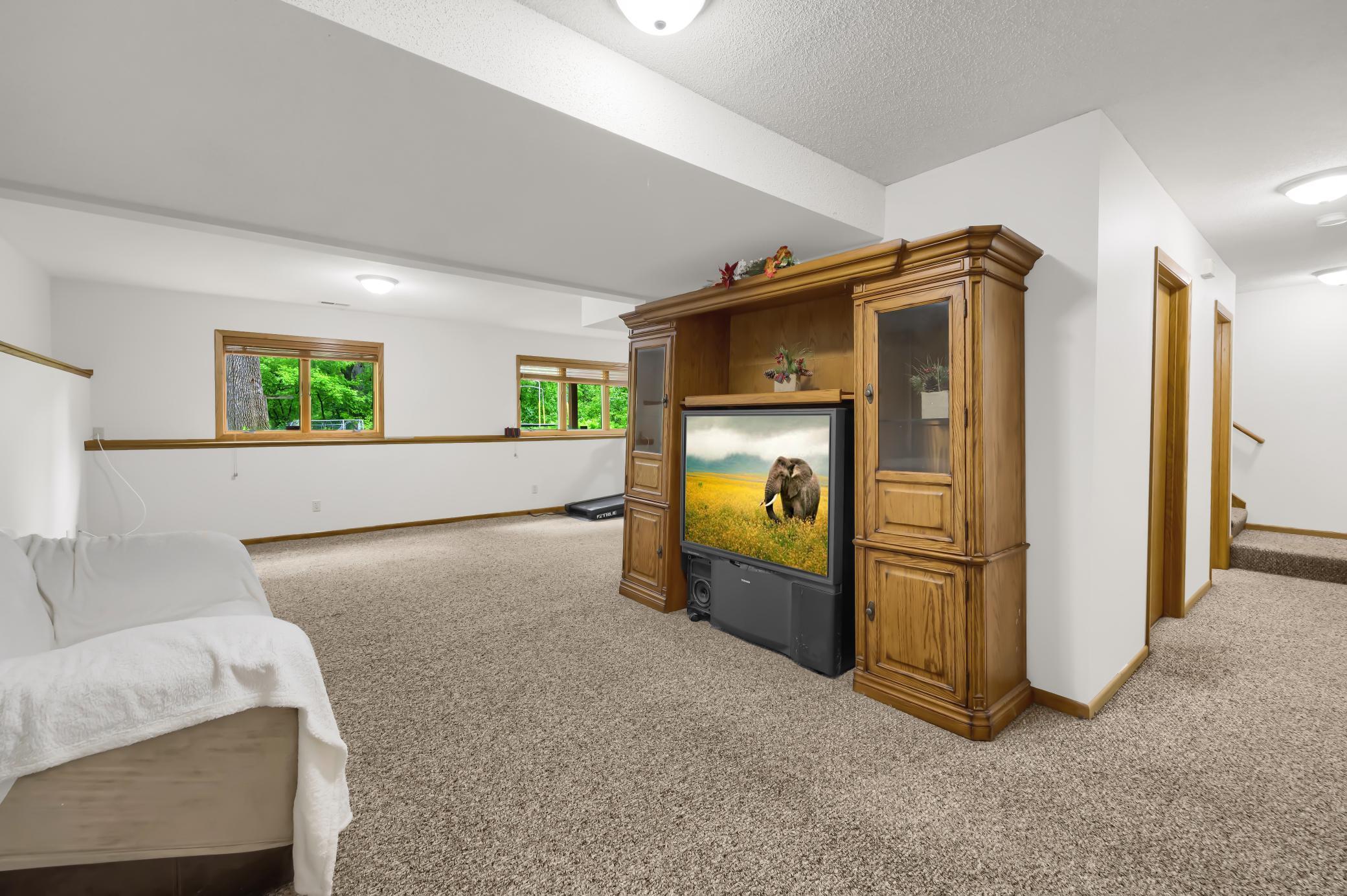 3759 Greensboro Drive Eagan, MN 55123 - Photo 45 of 49