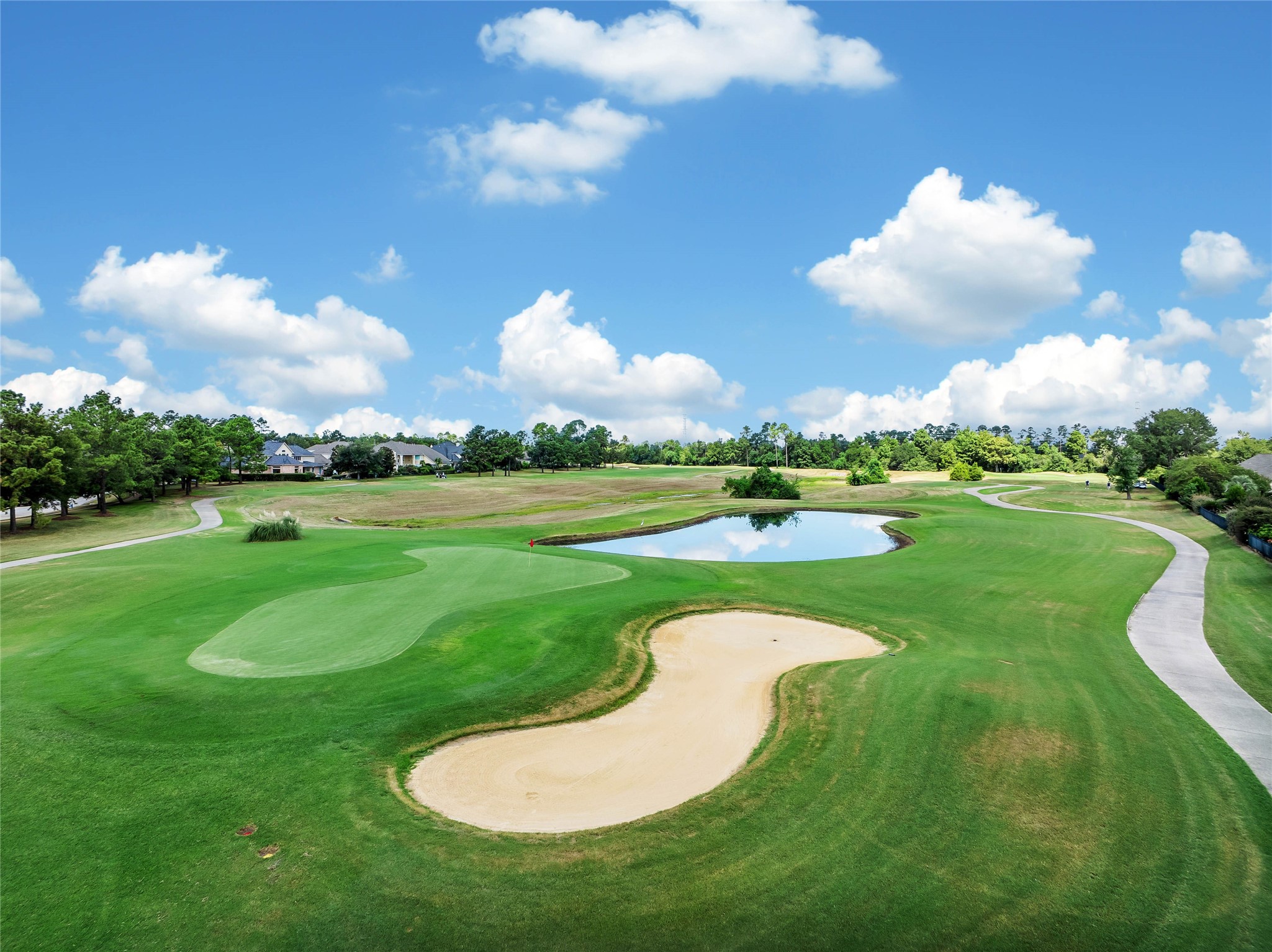 20730 Windrose Bend Drive Spring, TX 77379 - Photo 48 of 50