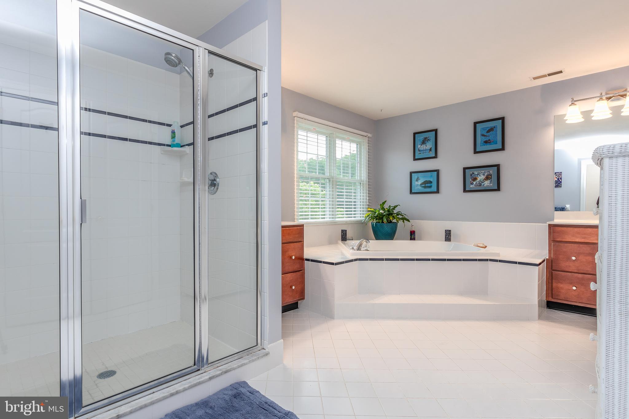 85 Milford Road Chester Springs, PA 19425 - Photo 40 of 55 Master Bathroom with soaking tub and shower