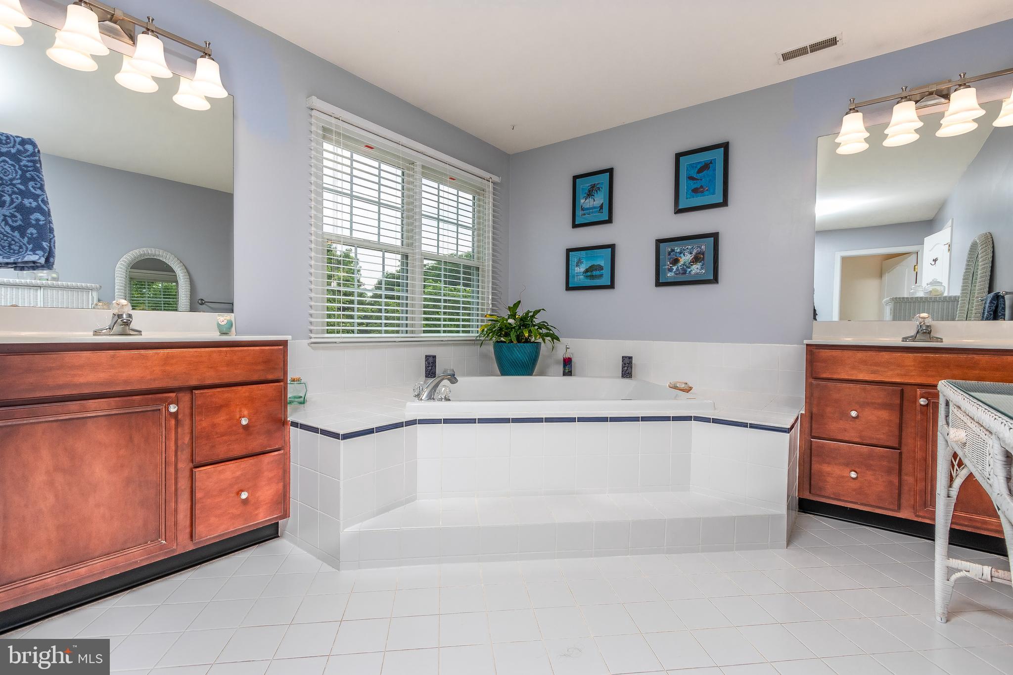 85 Milford Road Chester Springs, PA 19425 - Photo 41 of 55 Master Bathroom