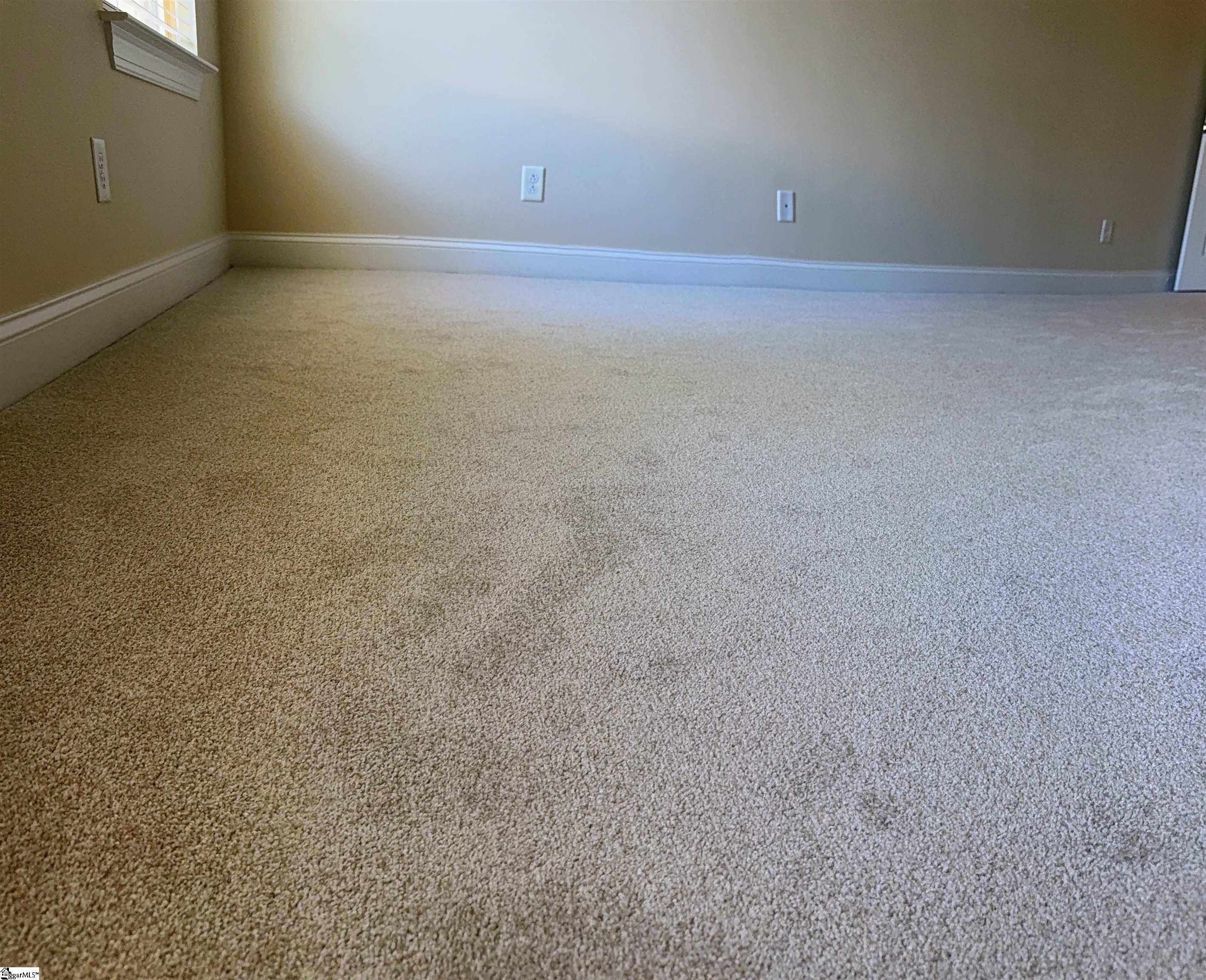 207 Penrith Court Simpsonville, SC 29681 - Photo 11 of 23 Brand new Carpets and blinds in all the rooms, including this Bedroom.