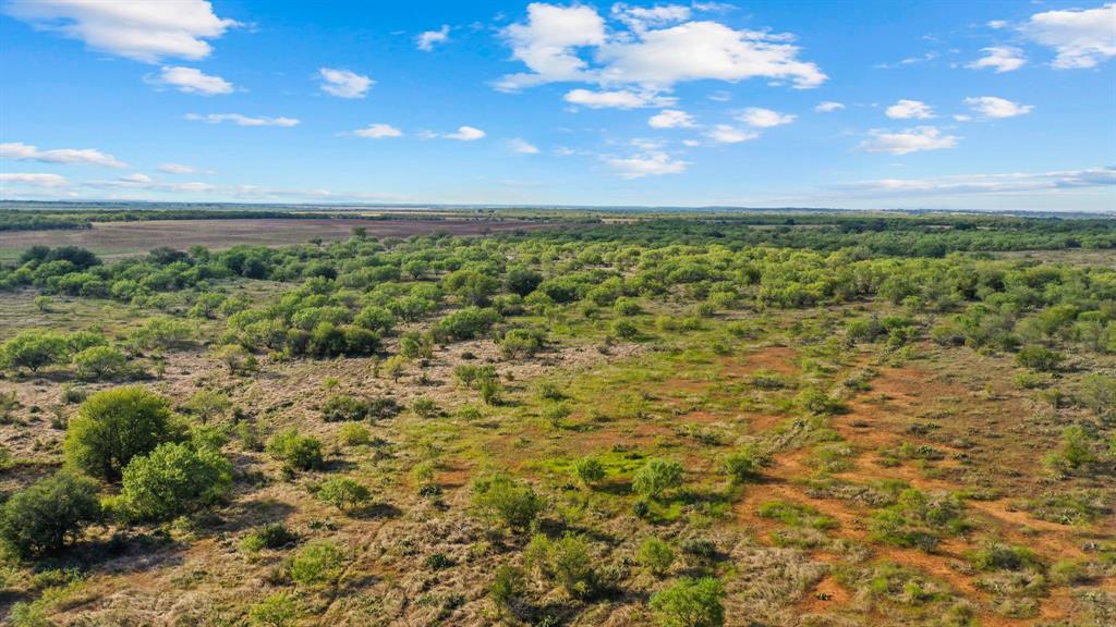 0 Proffitt Road Newcastle, TX 76372 - Photo 23 of 39 Aerial view