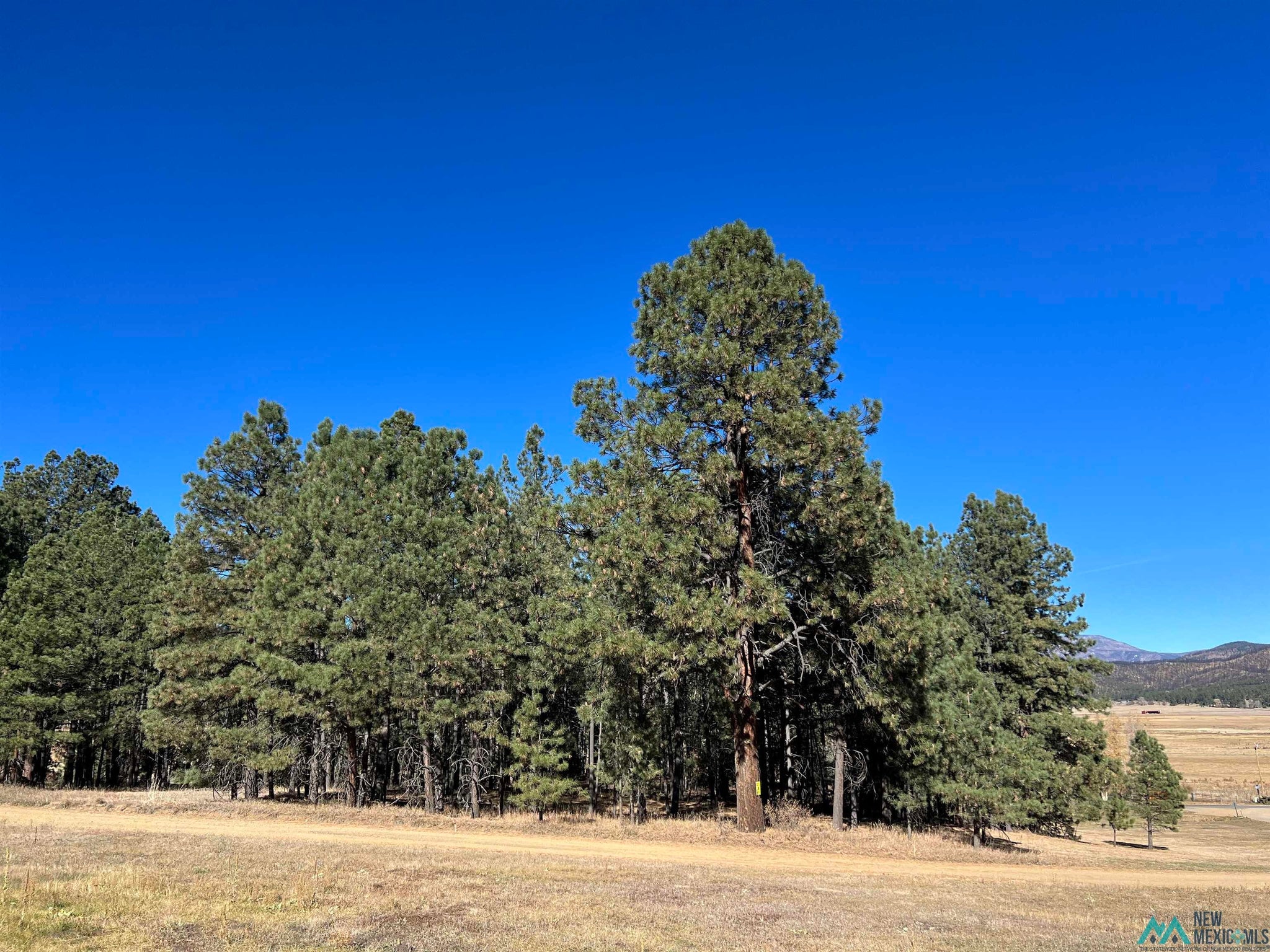 1 Chapel Road Rociada, NM 87742 - Photo 8 of 9 Gallery Image 8