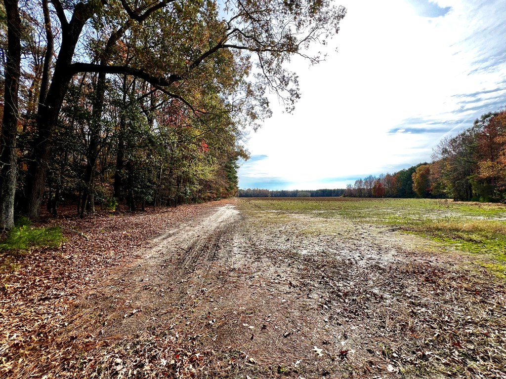 Lot 11 Pungoteague Road, Unit 11 Melfa, VA 23410 - Photo 5 of 7