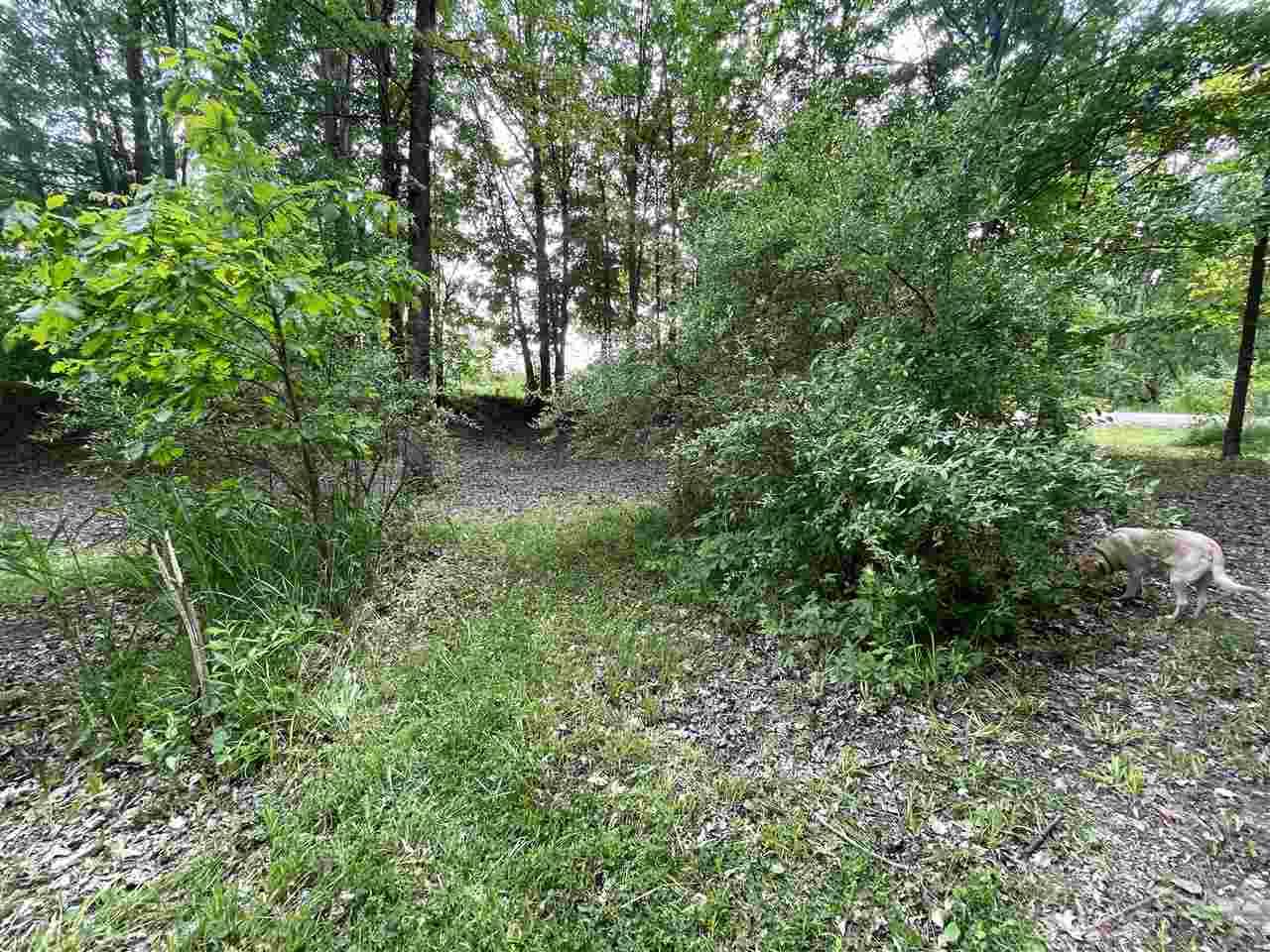 14180 Grabowski Road St. Charles, MI 48655 - Photo 40 of 42