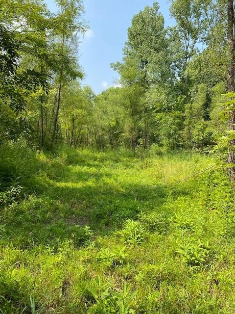 8276 Ferry Road Bloomfield, IN 47424 - Photo 3 of 12