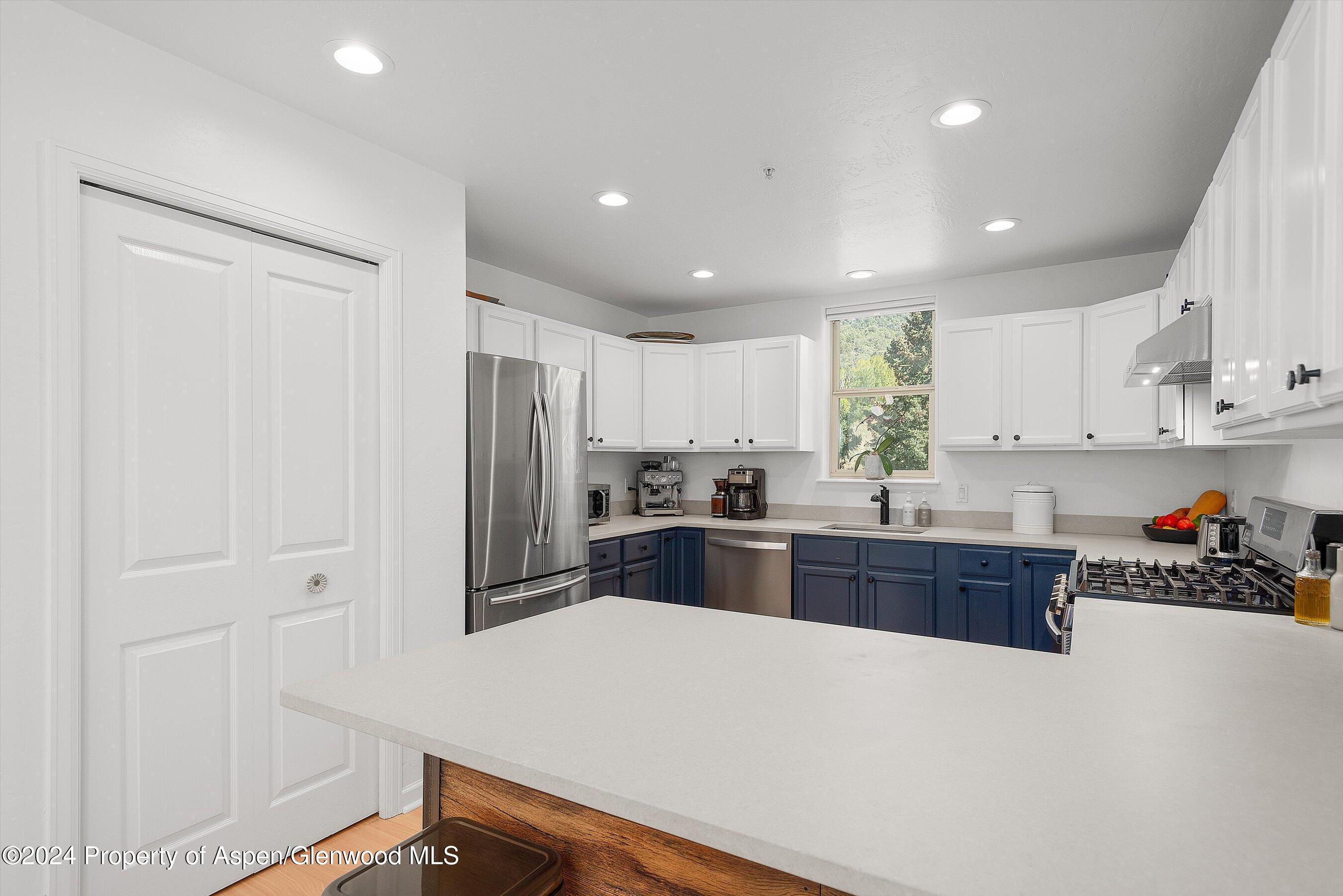 214 Lakeside Drive Basalt, CO 81621 - Photo 3 of 31 a kitchen with stainless steel appliances a refrigerator sink and cabinets