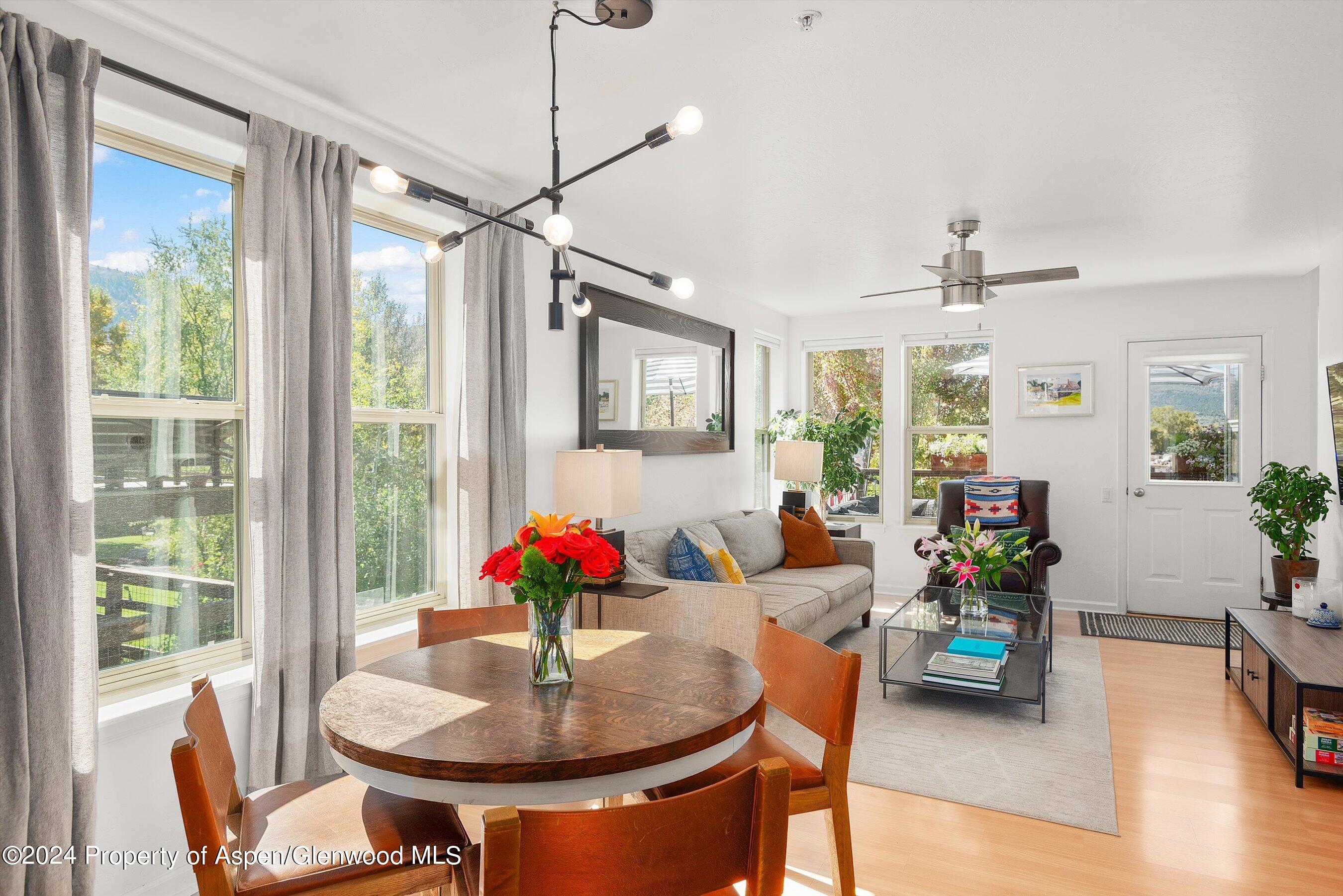 214 Lakeside Drive Basalt, CO 81621 - Photo 6 of 31 a living room with furniture and a potted plant