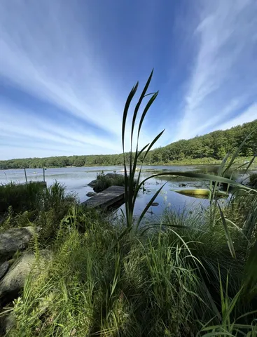a view of a yard next to a building